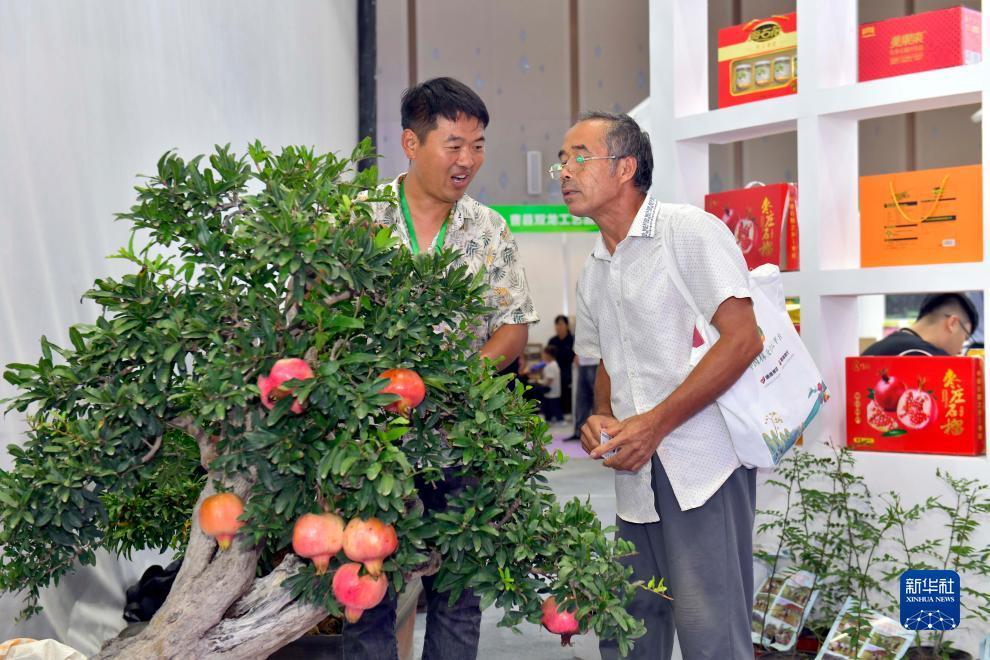 bg博冠官网